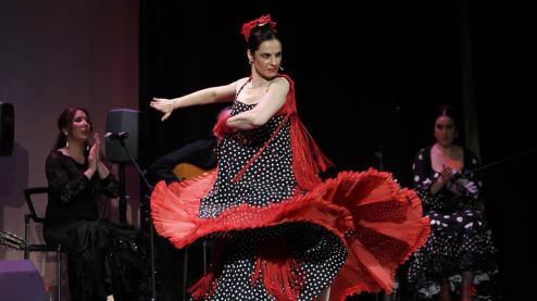 La bailaora Raquel Novellón
